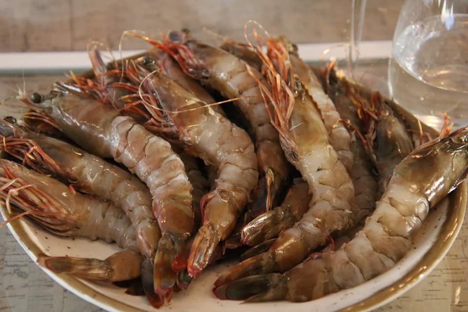 Biggis-Bigfood Partyservice | Genüsse aus aller Welt | Portugal 2018