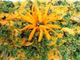 Süsskartoffel-Salat Süsskartoffel-Salat